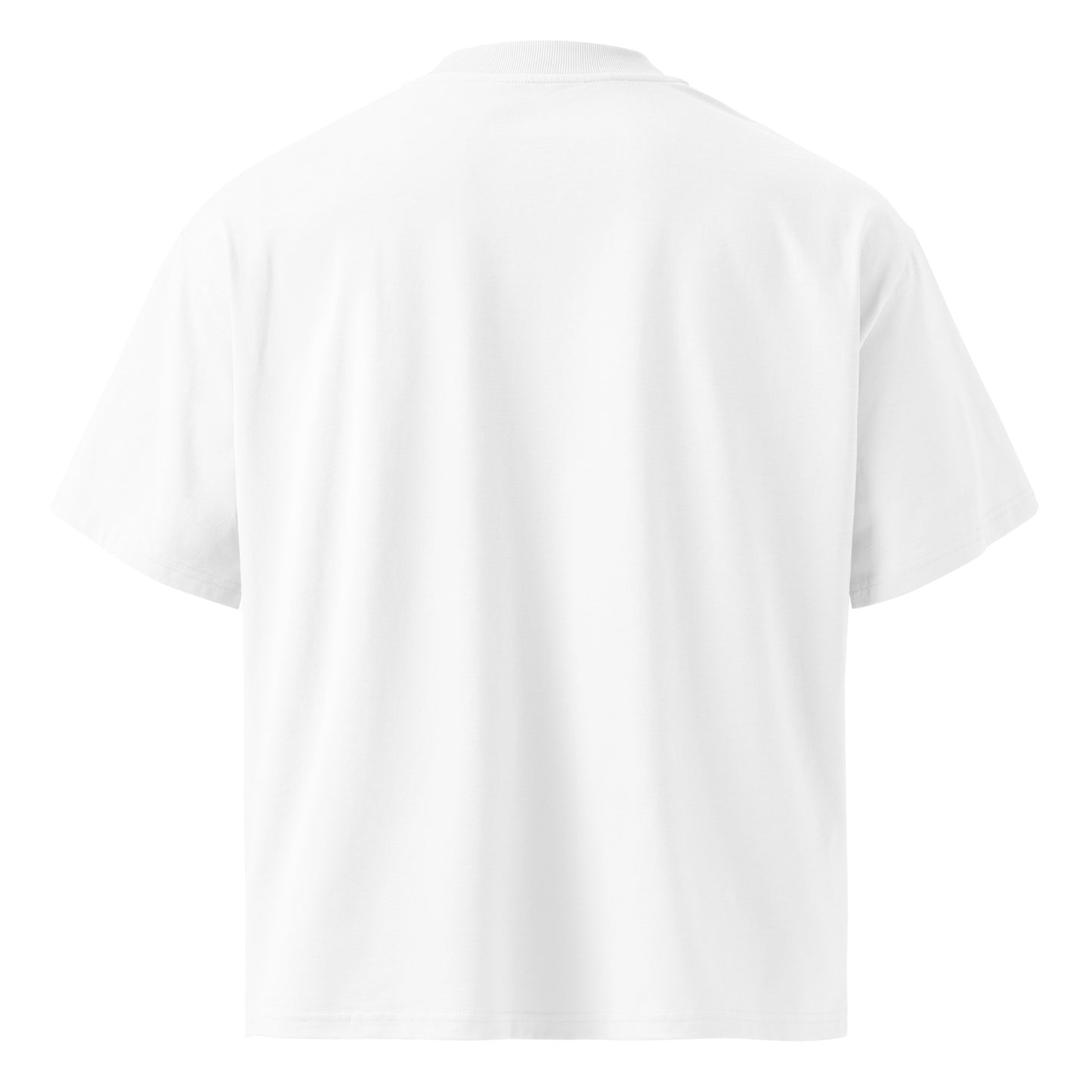 Over Sized Streetwear T-shirt "It Looked Minus"